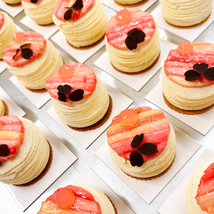 Rhubarbe & Fleur de sureau